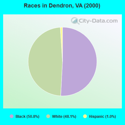 Races in Dendron, VA (2000)