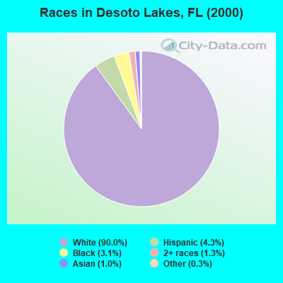 Races in Desoto Lakes, FL (2000)