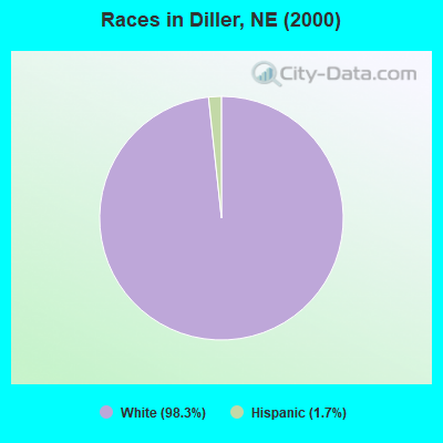 Races in Diller, NE (2000)