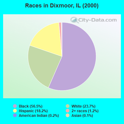 Races in Dixmoor, IL (2000)