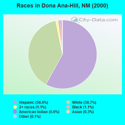 Races in Dona Ana-Hill, NM (2000)