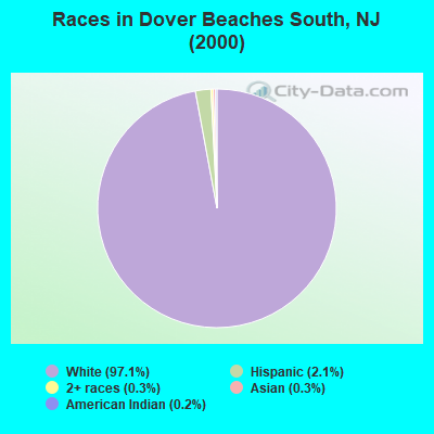 Races in Dover Beaches South, NJ (2000)
