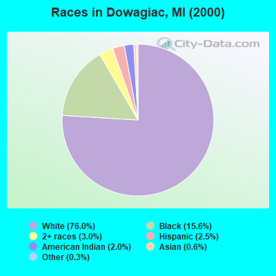 Races in Dowagiac, MI (2000)