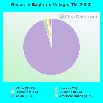 Races in Eagleton Village, TN (2000)