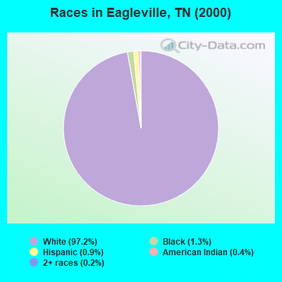 Races in Eagleville, TN (2000)