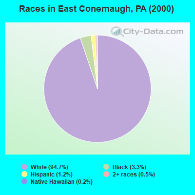 Races in East Conemaugh, PA (2000)