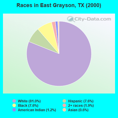 Races in East Grayson, TX (2000)