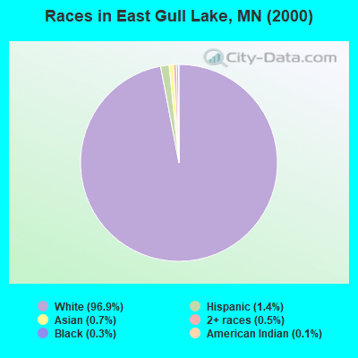 Races in East Gull Lake, MN (2000)