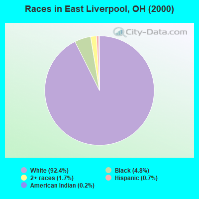 Races in East Liverpool, OH (2000)