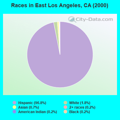 Races in East Los Angeles, CA (2000)