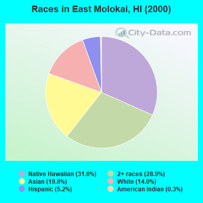 Races in East Molokai, HI (2000)