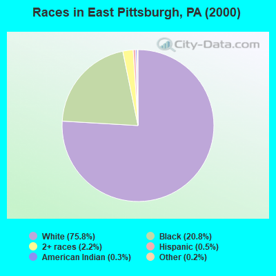 Races in East Pittsburgh, PA (2000)