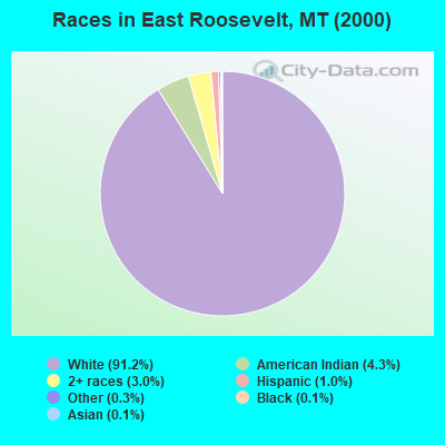 Races in East Roosevelt, MT (2000)