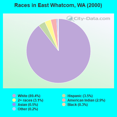 Races in East Whatcom, WA (2000)