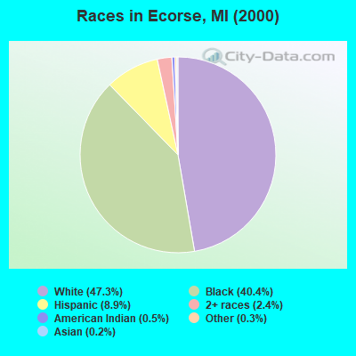 Races in Ecorse, MI (2000)