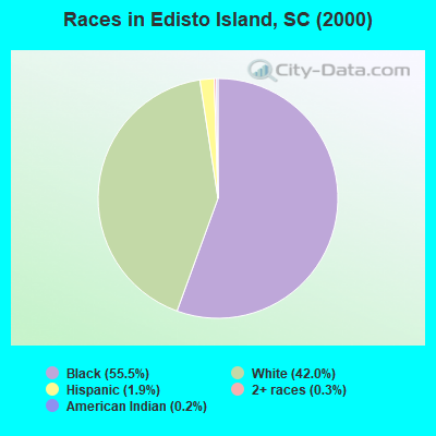 Races in Edisto Island, SC (2000)