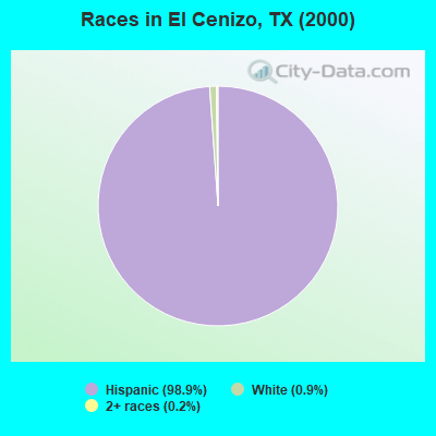 Races in El Cenizo, TX (2000)