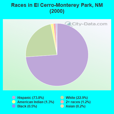 Races in El Cerro-Monterey Park, NM (2000)