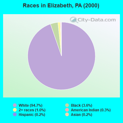Races in Elizabeth, PA (2000)