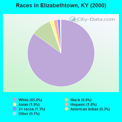 Races in Elizabethtown, KY (2000)