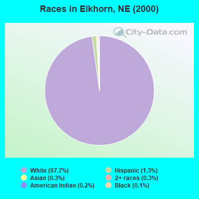 Races in Elkhorn, NE (2000)