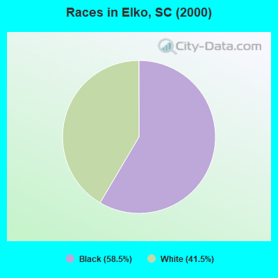 Races in Elko, SC (2000)
