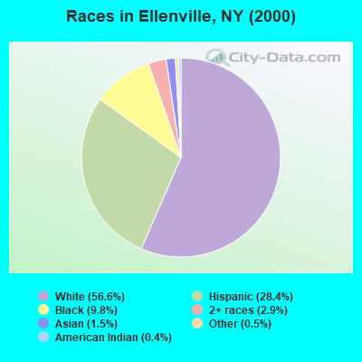 Races in Ellenville, NY (2000)