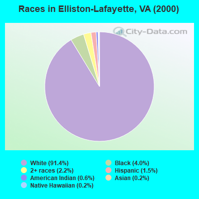 Races in Elliston-Lafayette, VA (2000)