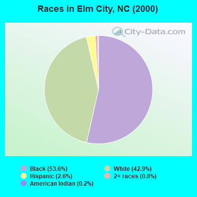 Races in Elm City, NC (2000)