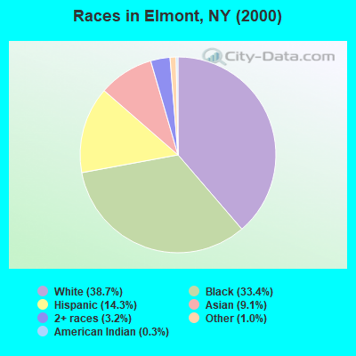 Races in Elmont, NY (2000)