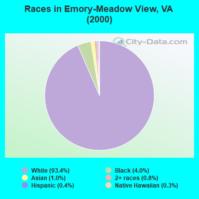 Races in Emory-Meadow View, VA (2000)