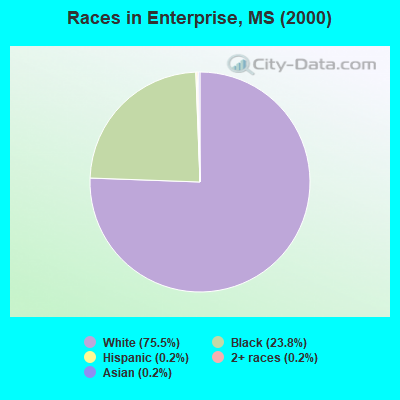Races in Enterprise, MS (2000)