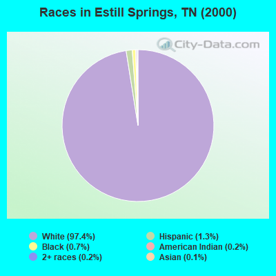 Races in Estill Springs, TN (2000)