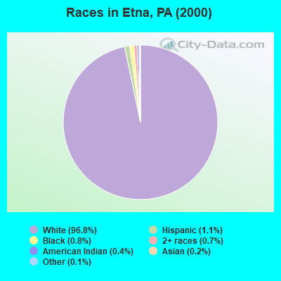 Races in Etna, PA (2000)