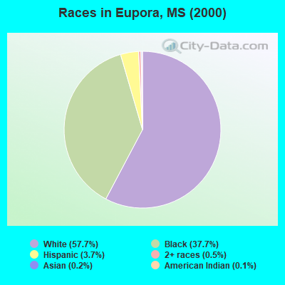 Races in Eupora, MS (2000)