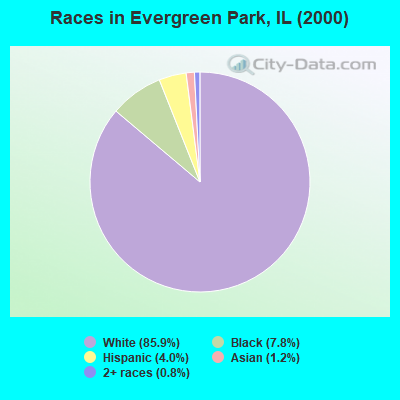 Races in Evergreen Park, IL (2000)