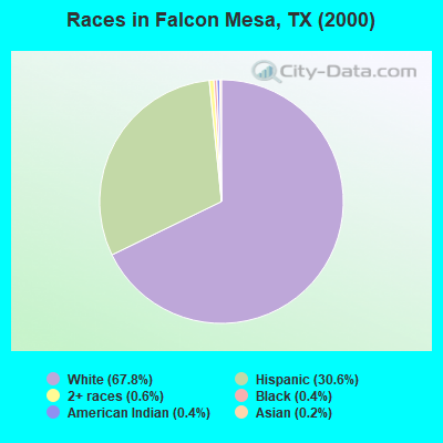 Races in Falcon Mesa, TX (2000)