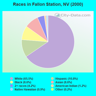 Races in Fallon Station, NV (2000)