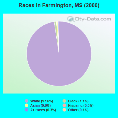 Races in Farmington, MS (2000)