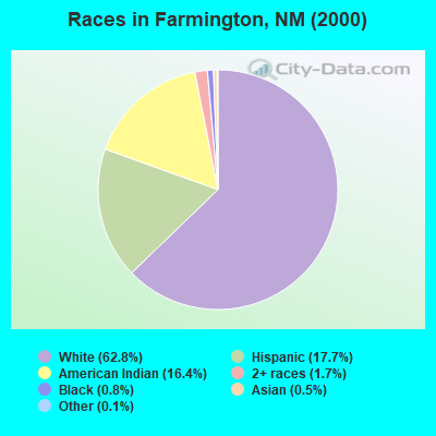 Races in Farmington, NM (2000)