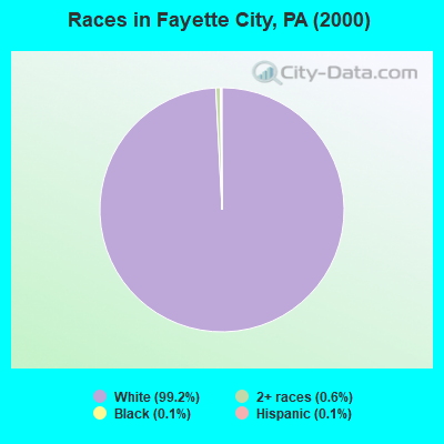 Races in Fayette City, PA (2000)