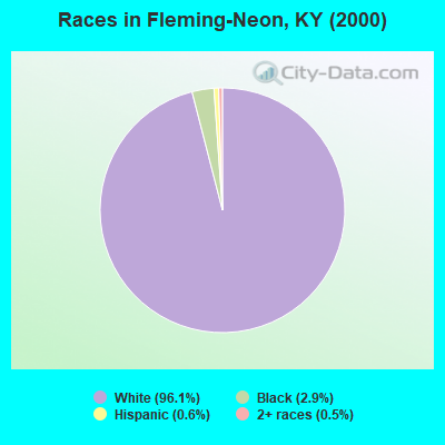 Races in Fleming-Neon, KY (2000)