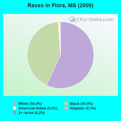 Races in Flora, MS (2000)