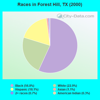 Races in Forest Hill, TX (2000)