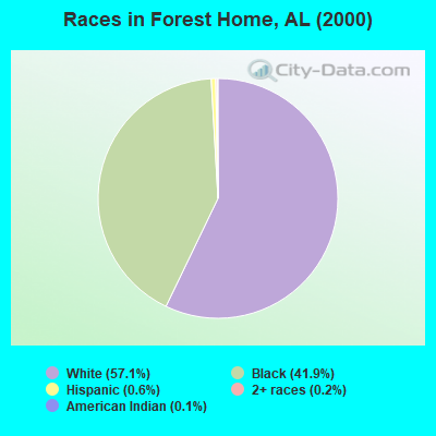 Races in Forest Home, AL (2000)