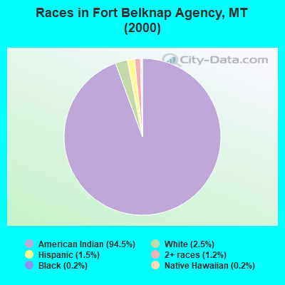 Races in Fort Belknap Agency, MT (2000)