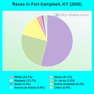 Races in Fort Campbell, KY (2000)