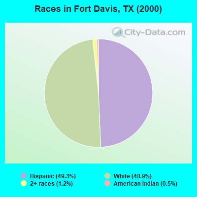 Races in Fort Davis, TX (2000)