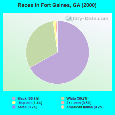 Races in Fort Gaines, GA (2000)