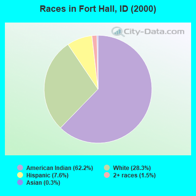 Races in Fort Hall, ID (2000)